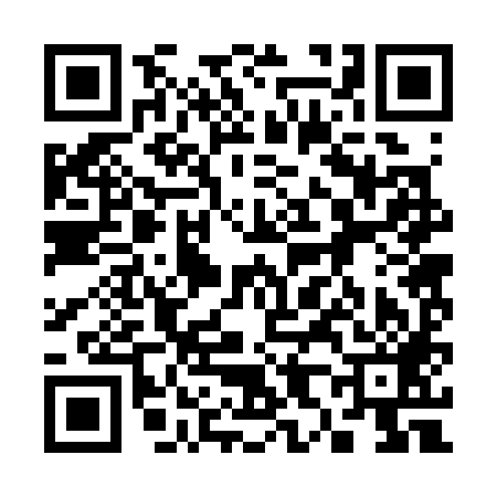 QR code for 382389L