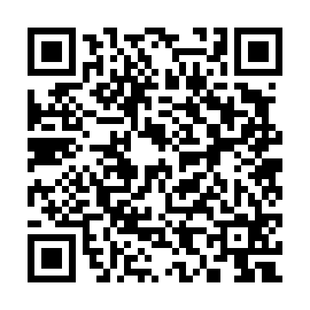 QR code for 382464S