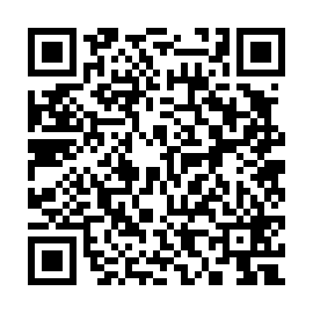 QR code for 382469Z