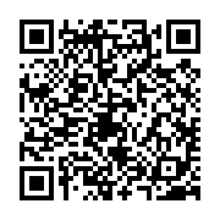 QR code for 382499S