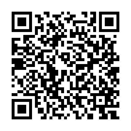 QR code for 382507G