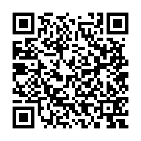 QR code for 382573N