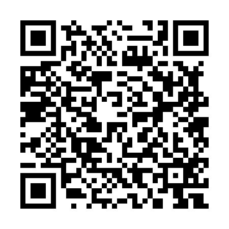 QR code for 3828166