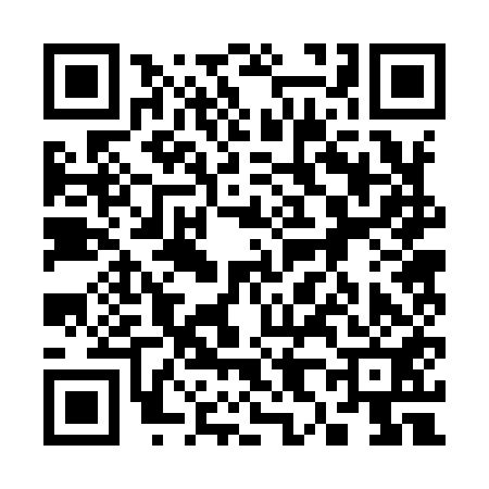 QR code for 382951K
