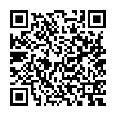 QR code for 382972T