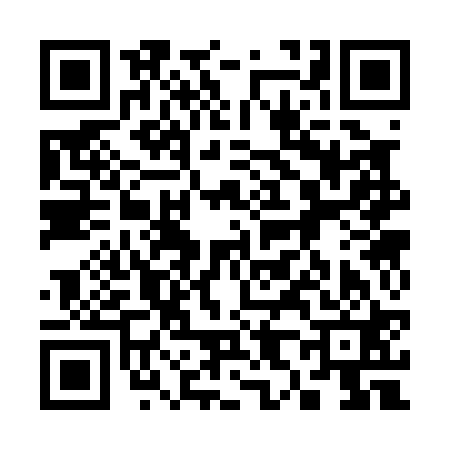 QR code for 383021L