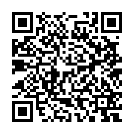QR code for 383023N