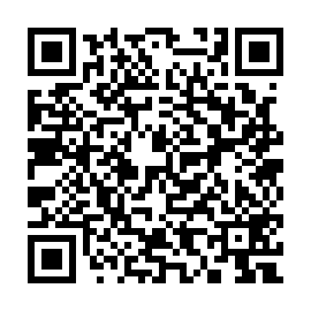 QR code for 383159C