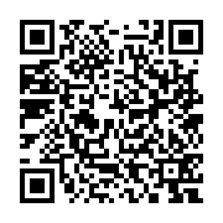 QR code for 383173M
