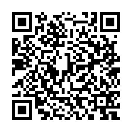 QR code for 383176N