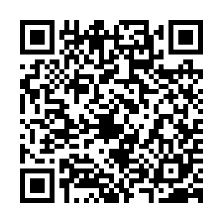 QR code for 383205Y