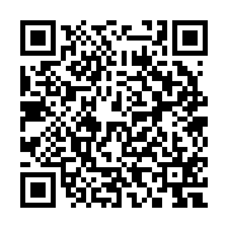 QR code for 3832153