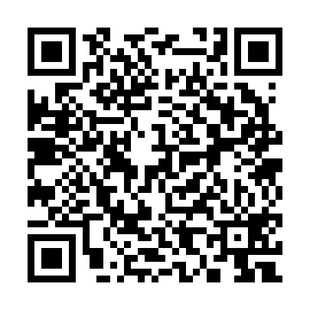 QR code for 383219S