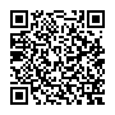 QR code for 3833130