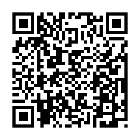 QR code for 383369U