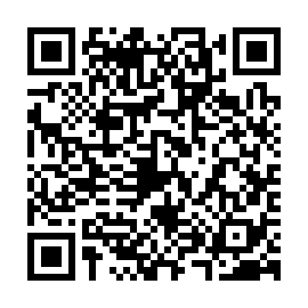 QR code for 383378X