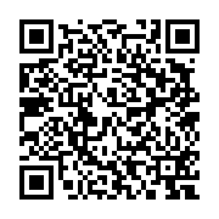 QR code for 383413S
