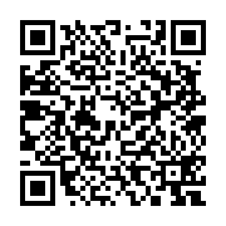 QR code for 383419Y