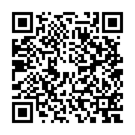 QR code for 383511K