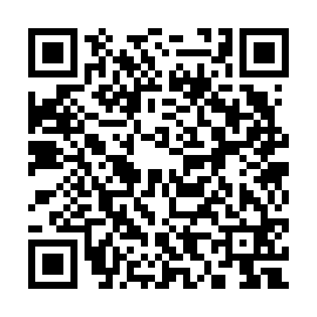QR code for 383660K