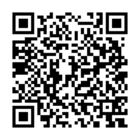QR code for 383672N