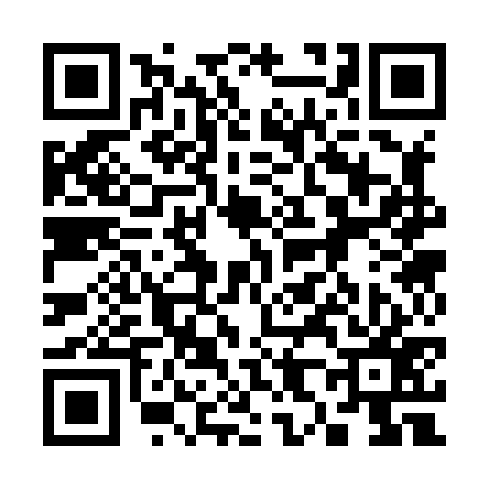 QR code for 383877P