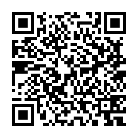 QR code for 383879V