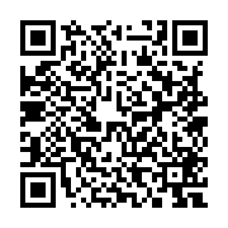 QR code for 3839498