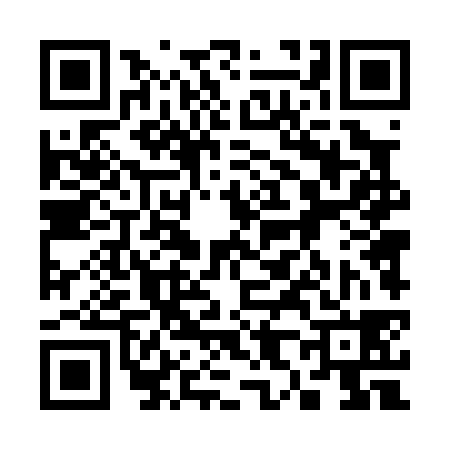 QR code for 384038S