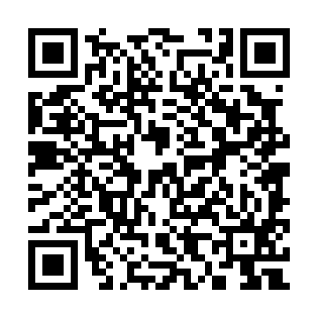 QR code for 384095S