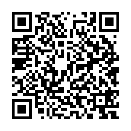 QR code for 384228C
