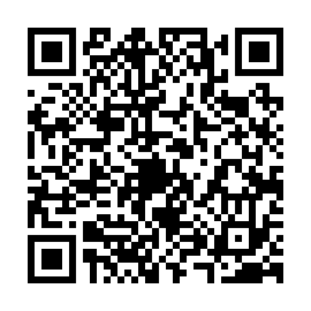 QR code for 384233G