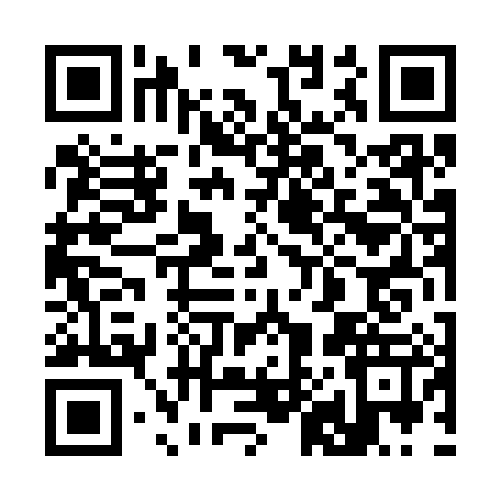 QR code for 3843871