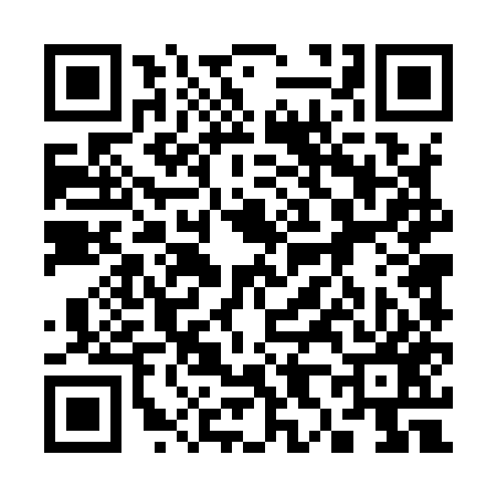 QR code for 384957Y