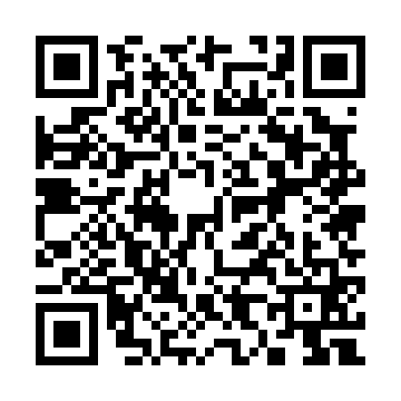 QR code for 3850613
