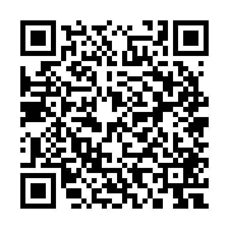 QR code for 3852499