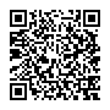 QR code for 385438V