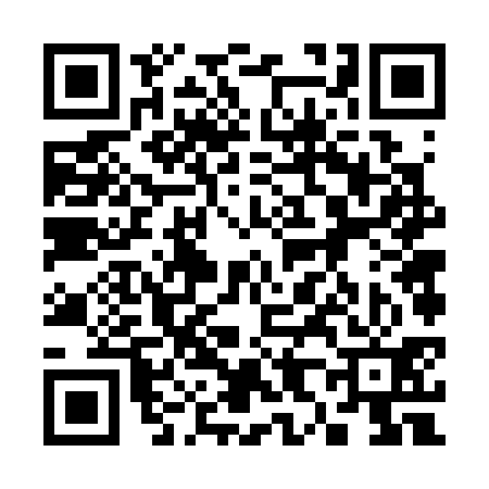 QR code for 386331Y