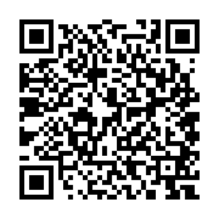 QR code for 3863407