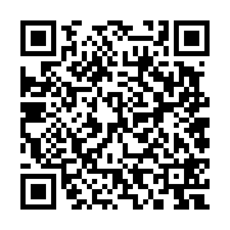 QR code for 386428G