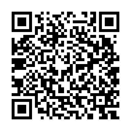 QR code for 386655O