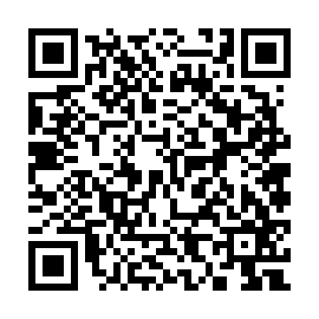 QR code for 386666H