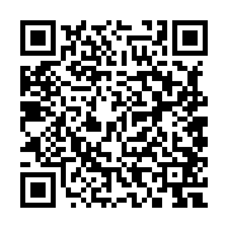 QR code for 3868420