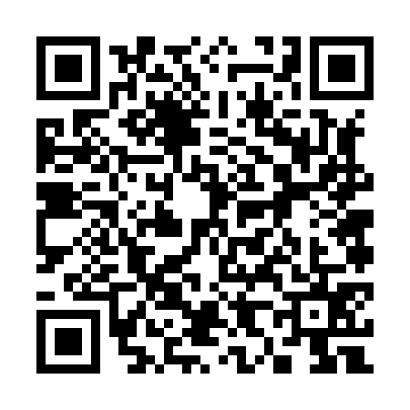 QR code for 3868755