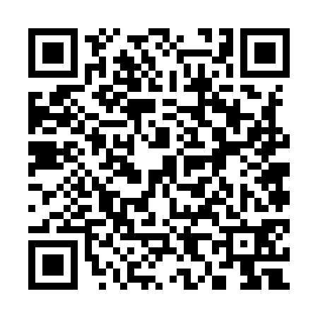 QR code for 386970P