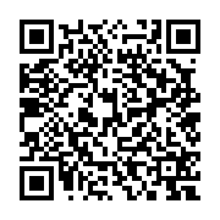 QR code for 3870242
