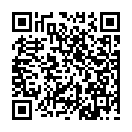 QR code for 387161X