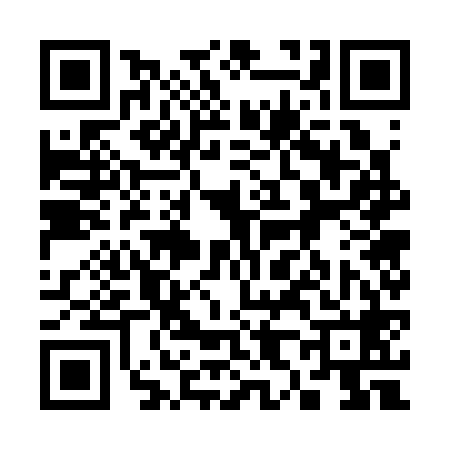 QR code for 387368S