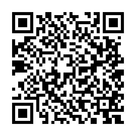 QR code for 387501O