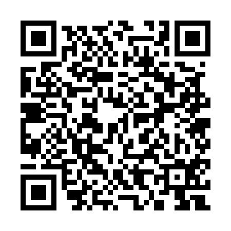 QR code for 387514X